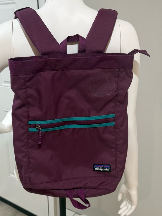 Patagonia Handbags - Patagonia Plum Purple Backpack with Teal Accents